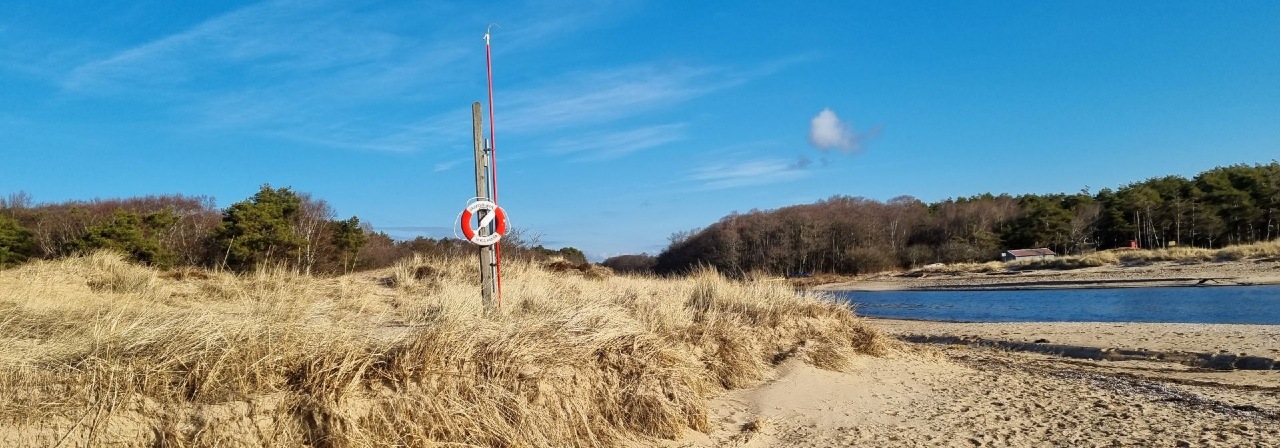 Suseån Grimsholmen